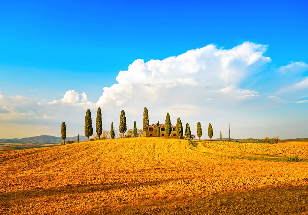 UNA VACANZA IN TOSCANA
Cosa vedere e dove andare